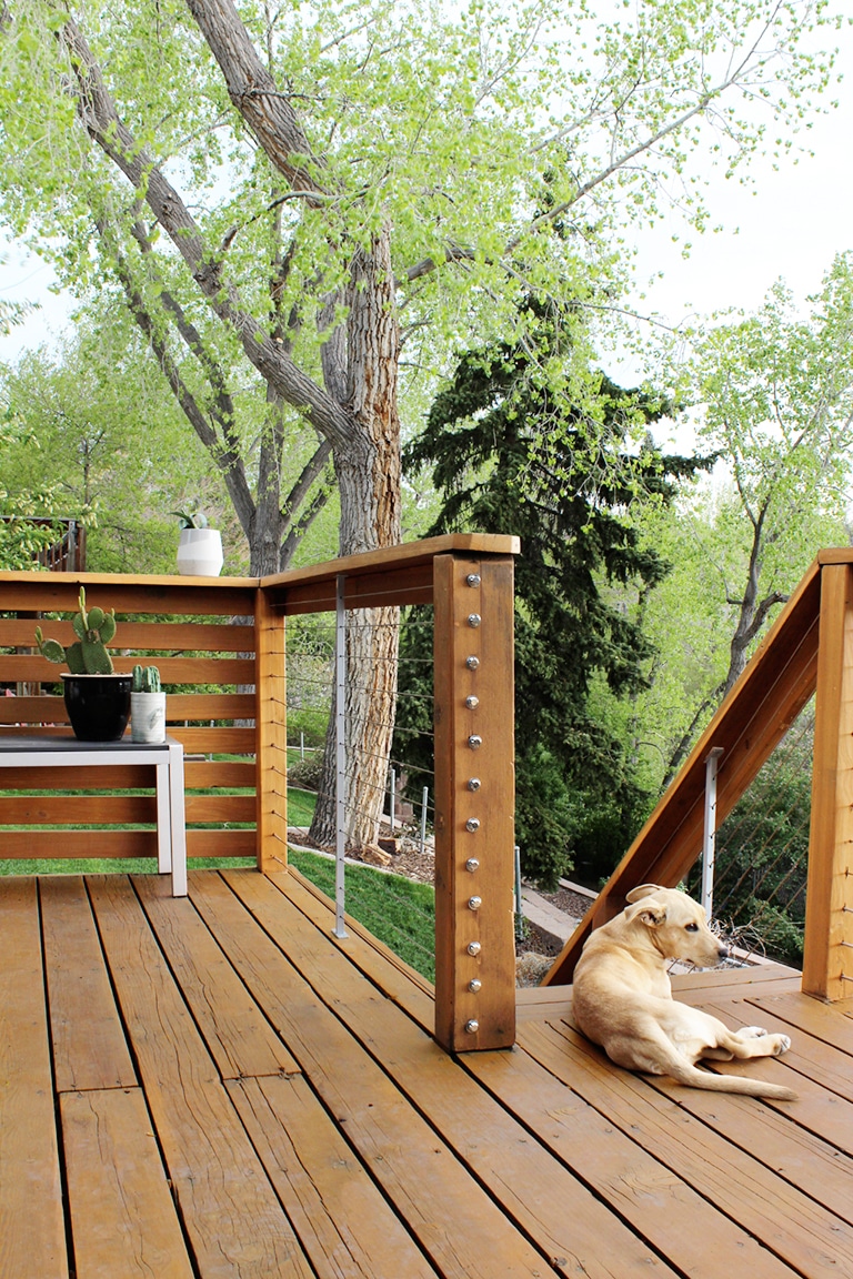 cable railing and dog on deck back patio of home and stairs