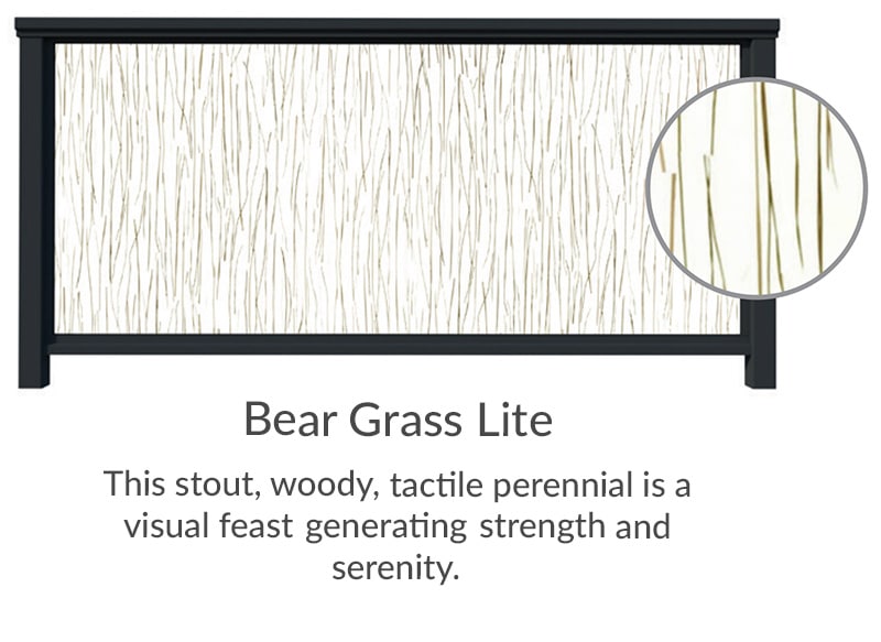 Bear Grass Lite
This stout, woody, tactile perennial is a visual feast generating strength and serenity.