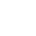 IDS_logo